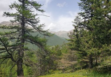 Tocht Stappen Saint-Paul-sur-Ubaye - tiurnoux - Photo