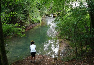 Trail Walking Val de Briey - Briey en famille  - Photo