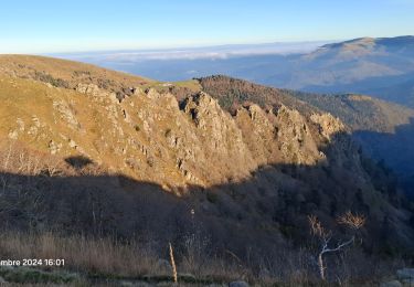 Tocht Stappen La Bresse - Tour du Kastelberg par les 3 lacs. - Photo