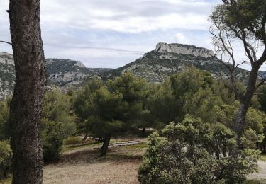 Trail Walking Cheval-Blanc - les gorges du regalon - Photo