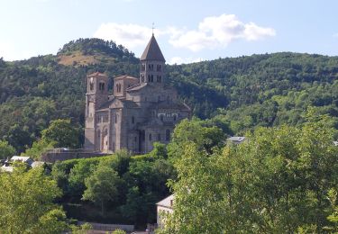 Tour Wandern Saint-Nectaire - TOUR DU PUY D' ERAIGNE DEPUIS LE CAMPING 