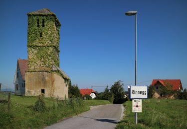 Excursión A pie St. Radegund - Ster- und Mühlgraben - Photo