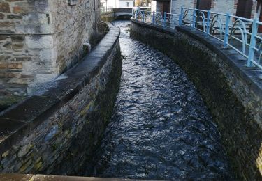 Percorso Marcia Saint-Hubert - SityTrail - Mirwart 10.1 km - Photo