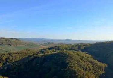 Tocht Stappen Yronde-et-Buron - Foncrepon_Puy_Moriot - Photo