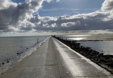 Excursión Cicloturismo La Guérinière - Tour de l’île de Noirmoutier sud - Photo