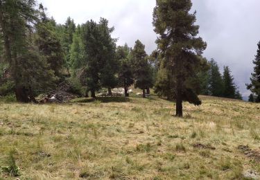 Randonnée Marche Saint-Michel-de-Chaillol - Chaillot lac de Barbeyrou - Photo