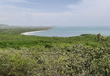 Percorso Marcia Le Vauclin - Boucle Macabou via Morne Etoile - Photo