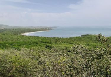 Excursión Senderismo Le Vauclin - Boucle Macabou via Morne Etoile - Photo