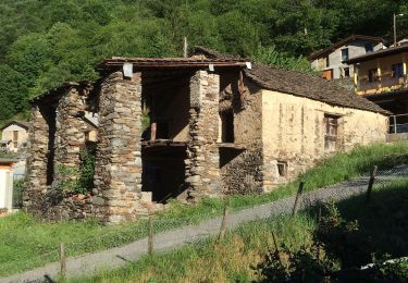 Tocht Te voet Bellinzona - Camerino-Isone - Photo