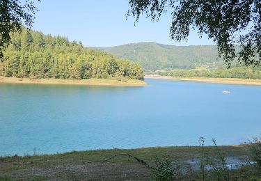 Percorso Marcia Stavelot - tour du lac de Coo - Photo