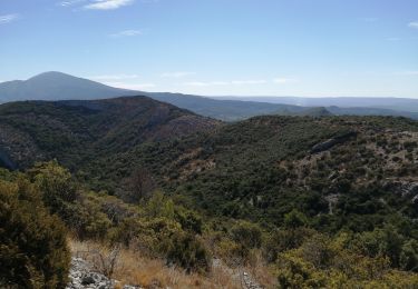 Trail Walking Suzette - Le saint amant - Photo