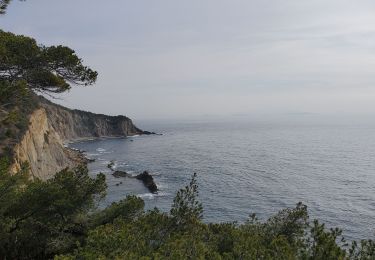 Trail Walking Ensuès-la-Redonne - laRedonne le grand Méjan - Photo