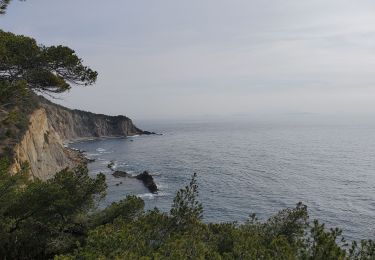 Tocht Stappen Ensuès-la-Redonne - laRedonne le grand Méjan - Photo