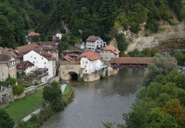 Excursión A pie Friburgo - Freiburg / Fribourg Balm / La Palme - Maggenberg - Photo