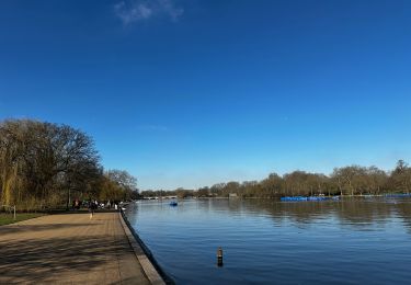 Trail Walking Westminster - Hyde park à Londres (Hyde Park Corner - High Street Kensington) - Photo