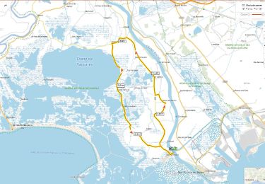 Tour Rennrad Arles - Bac à Villeneuve, retour par étang de Vaccares - Photo
