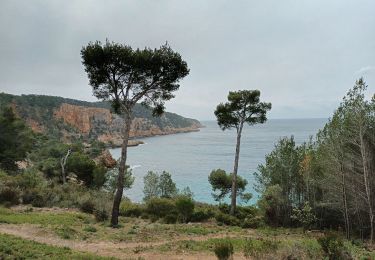 Randonnée Marche Saint-Cyr-sur-Mer - Dune de sable-St Cyr sur Mer-11-03-22 - Photo