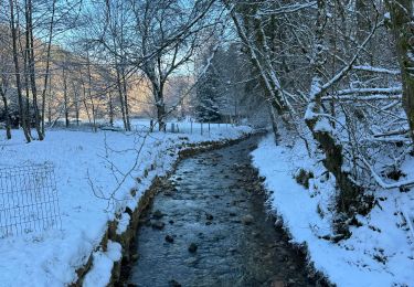 Tocht Stappen Habscht - Eischen - Photo