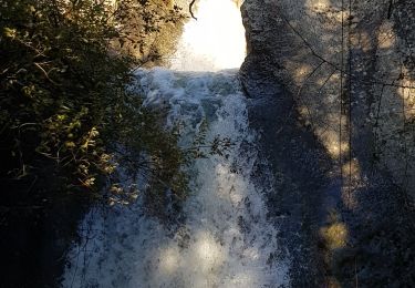 Excursión Senderismo Aureille - 13 les Caisses de Jeanjean au départ d Aureille - Photo