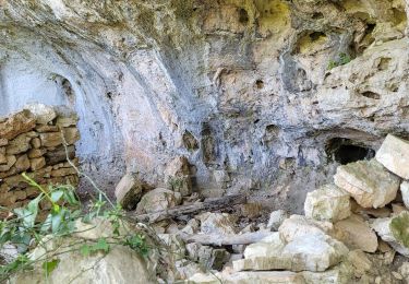 Randonnée Marche La Roquebrussanne - La Roquebrussane,  le vallon de Valescure - Photo