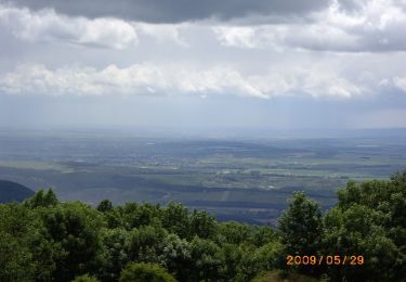 Randonnée A pied Esztergom - Z3 (Orosdy-rét - Pilis-tető - Két-bükkfa-nyereg) - Photo