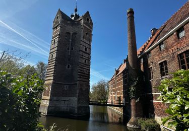 Trail Walking Rotselaar - abenowandeling - Photo