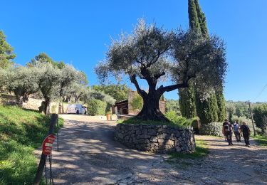 Randonnée Marche Fayence - fayence vallon de la camandre - Photo