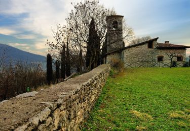 Trail On foot Ome - Sentiero dei funghi - Photo