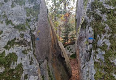 Percorso Marcia Fontainebleau - Fontainebleau - Sentier des carriers - Photo