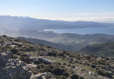 Trail Walking Bastia - Cardo - Photo