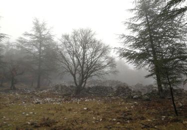 Randonnée Marche Bédoin - Combe d'ansis & Jas - Photo