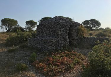 Trail Walking Conques-sur-Orbiel - Les murailles d_Aribaud Points de Vue capitelles version 2 - Photo