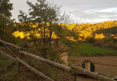 Tocht Stappen Peyrins - Montgrenier - Photo