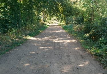 Tocht Stappen Volvic - Egaules, Puy des Gouttes  - Photo