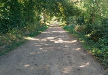 Randonnée Marche Volvic - Egaules, Puy des Gouttes  - Photo