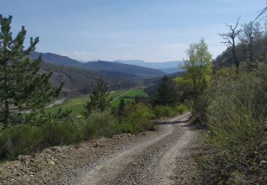 Tour Wandern Noyers-sur-Jabron - Boucle Jarjaye - Piedguichard - Photo