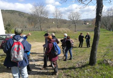 Trail Walking Caillac - caillac - Photo