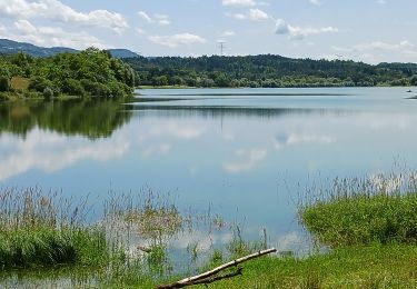 Tour Wandern Samognat - Nantua  - Photo