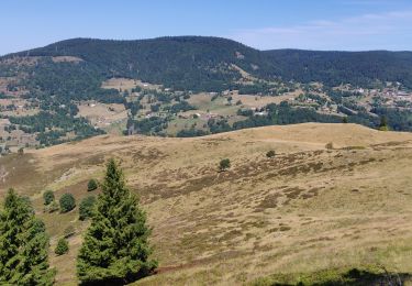 Excursión Senderismo Storckensohn - 2022-07-16 Marche Auberge Gazon Vert Chapelle des Ves - Photo