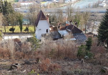 Percorso A piedi Stadt Kufstein - Prinz Luitpold Weg - Photo