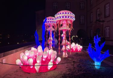 Tocht sport Montbéliard - Marche de Noël  - Photo