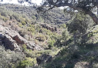 Excursión Senderismo Saint-Raphaël - mistral - Photo