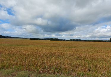 Randonnée Marche Anjouin - anjouin - Photo