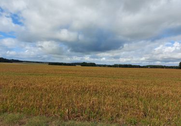 Trail Walking Anjouin - anjouin - Photo