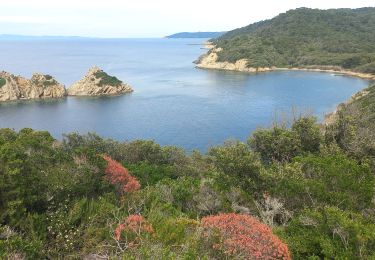 Randonnée Marche  - Port Cros Crêtes Fortin de la vigie plage de la palud - Photo