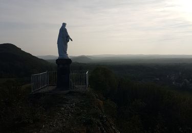 Tour Wandern Hauteroche - Mirebel avec Taïga - Photo