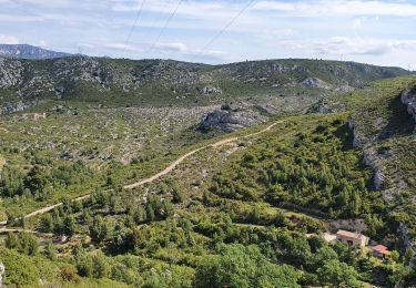 Tour Wandern Allauch - Allauch  la grotte de l'Etoile - Photo