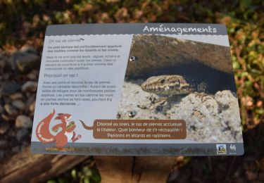 Excursión Senderismo Beauraing - RB-Na-29_Un terroir d’une biodiversité remarquable - Photo