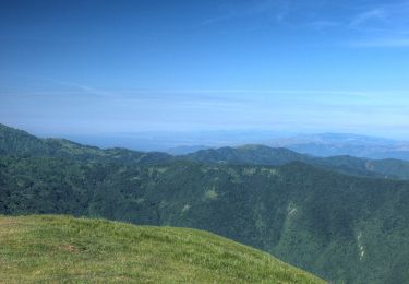 Tour Zu Fuß Carrega Ligure - Capanne di Carrega - Passo della Maddalena - Photo