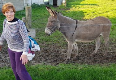 Percorso Marcia Vesly - Vesly - Guerny - Authevernes - Photo